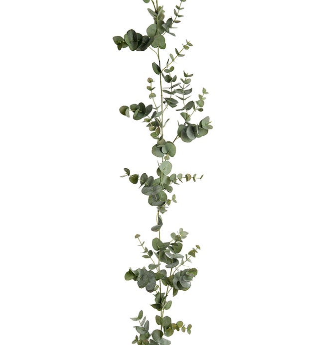 Mr Plant Eucalyptus köynnös, 190cm