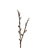 Mr Plant pajunkissa, 36cm