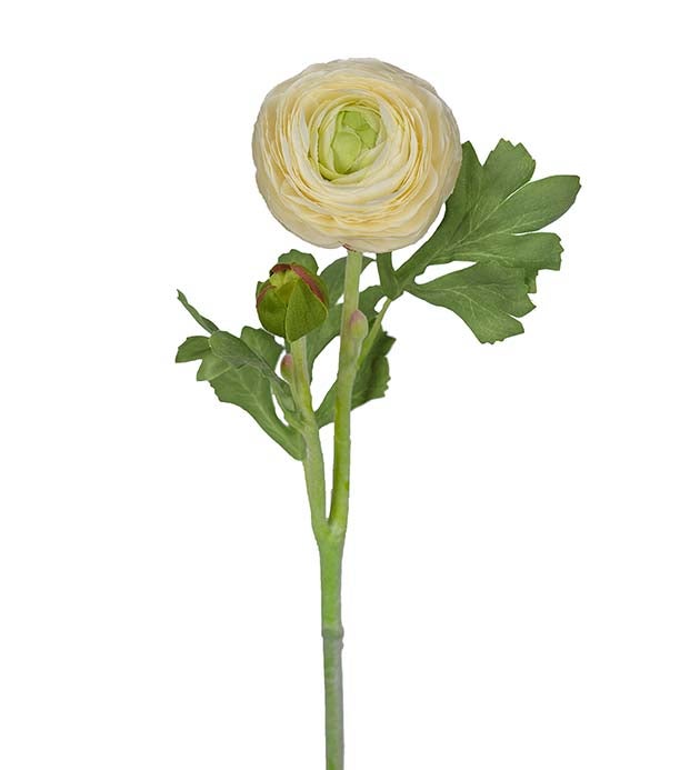 Mr Plant leinikki, 50cm