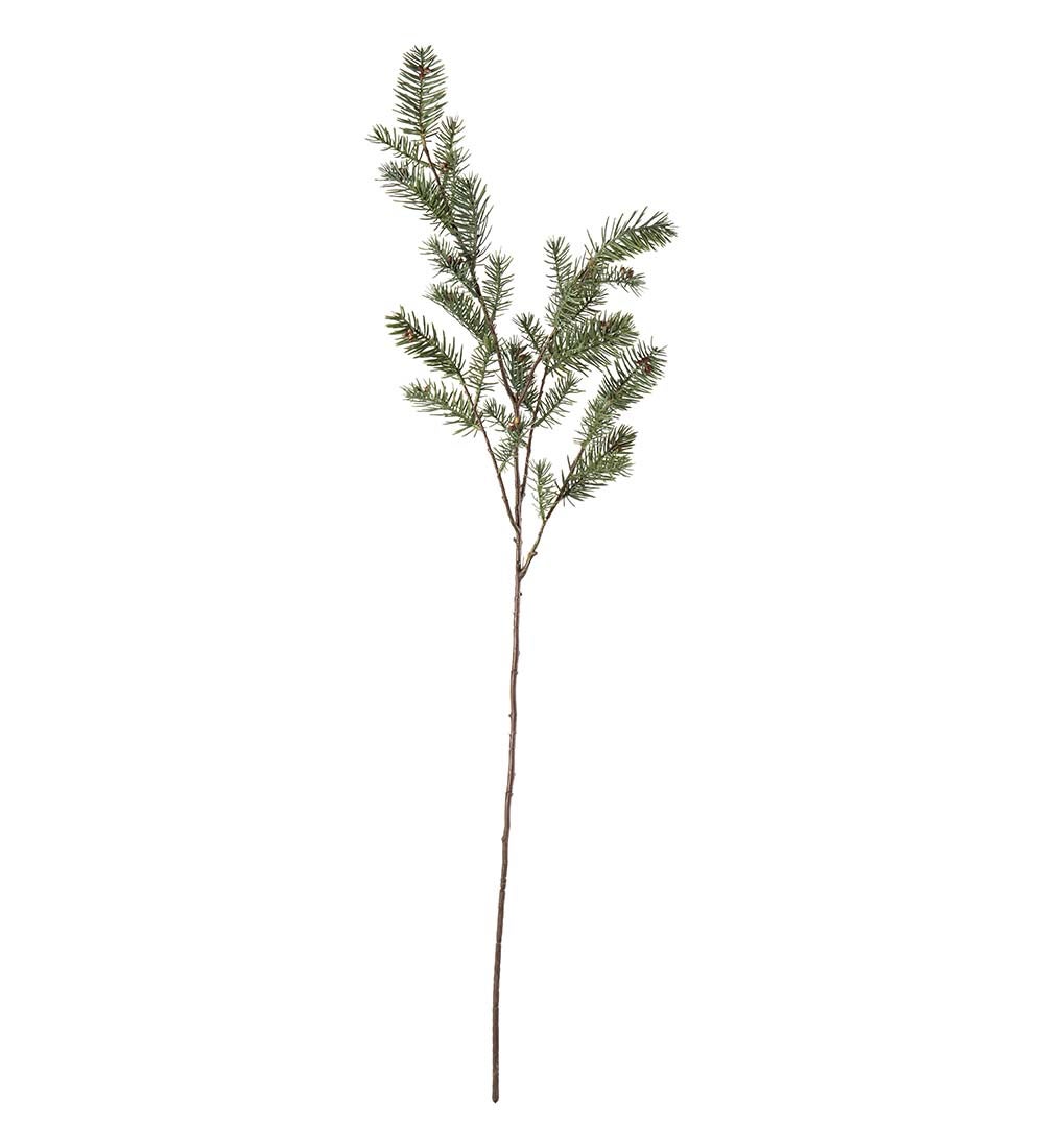 Mr Plant kuusenoksa, 80cm