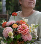 Kukkatarhurit Isotsinnia Benary`s Giant salmon rose