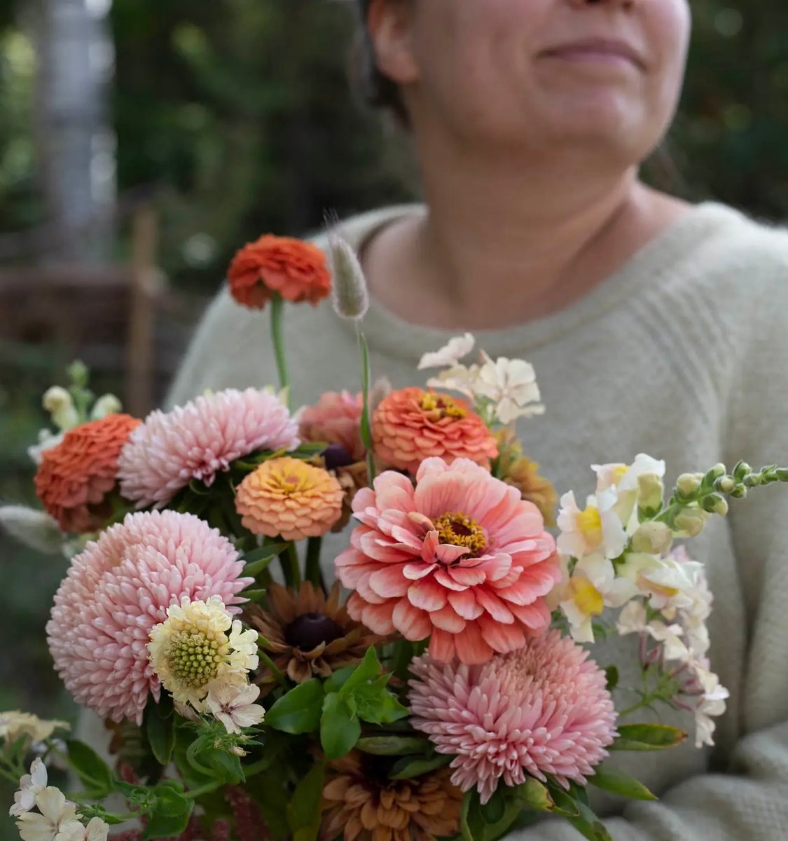 Kukkatarhurit Isotsinnia Benary`s Giant salmon rose
