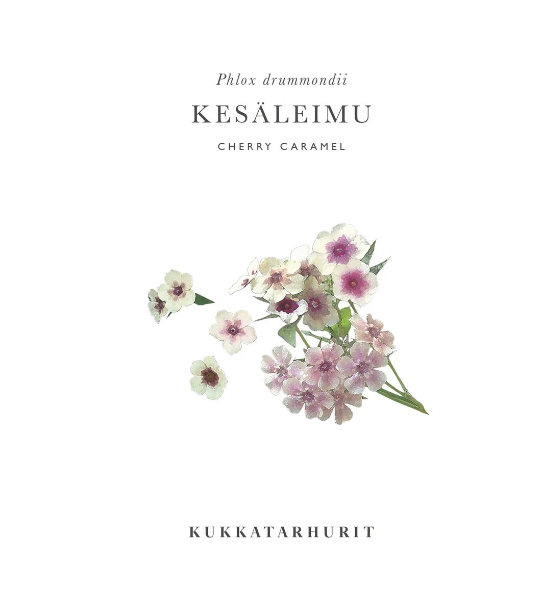 Kukkatarhurit Kesäleimu cherry caramel