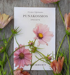 Kukkatarhurit Punakosmos apricotta