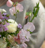 Kukkatarhurit tuoksuherne spring sunshine champagne